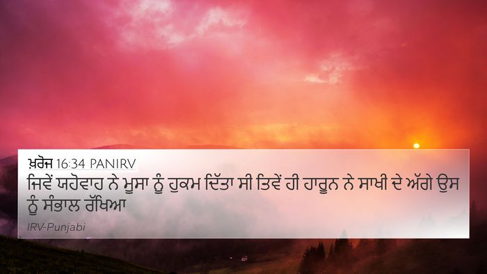 ਖ਼ਰੋਜ 16:34 PANIRV Bible Verse Image