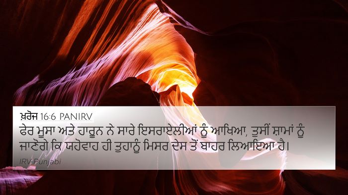 ਖ਼ਰੋਜ 16:6 PANIRV 4K Wallpaper - ਫੇਰ ਮੂਸਾ ਅਤੇ ਹਾਰੂਨ - 4K Wallpaper Bible Verse