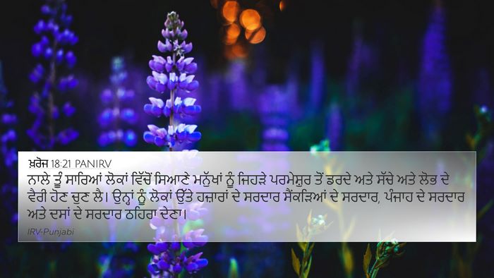 ਖ਼ਰੋਜ 18:21 PANIRV Bible Verse Image