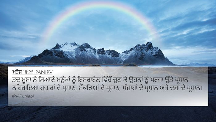 ਖ਼ਰੋਜ 18:25 PANIRV Bible Verse Image