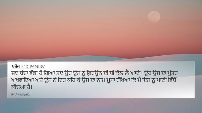 ਖ਼ਰੋਜ 2:10 PANIRV Bible Verse Image