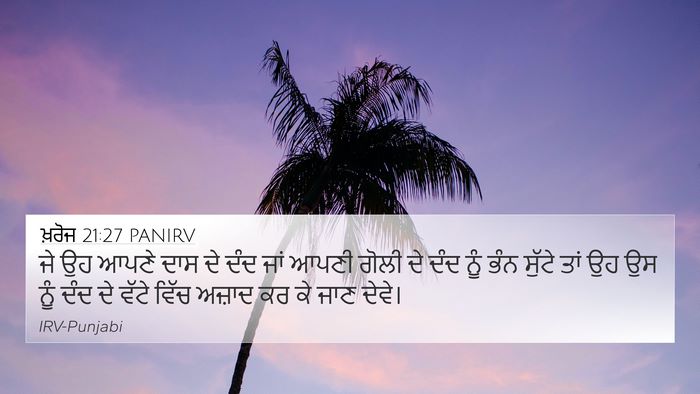 ਖ਼ਰੋਜ 21:27 PANIRV 4K Wallpaper - ਜੇ ਉਹ ਆਪਣੇ ਦਾਸ ਦੇ - 4K Wallpaper Bible Verse