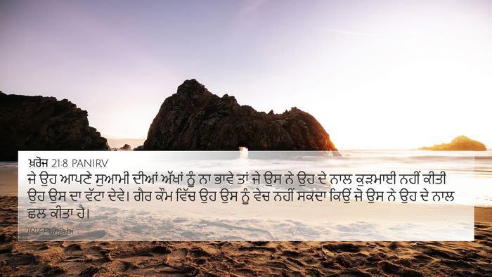 ਖ਼ਰੋਜ 21:8 PANIRV Bible Verse Image