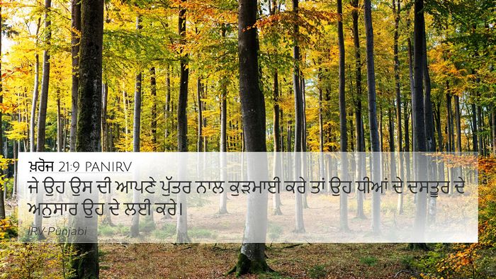 ਖ਼ਰੋਜ 21:9 PANIRV 4K Wallpaper - ਜੇ ਉਹ ਉਸ ਦੀ ਆਪਣੇ - 4K Wallpaper Bible Verse