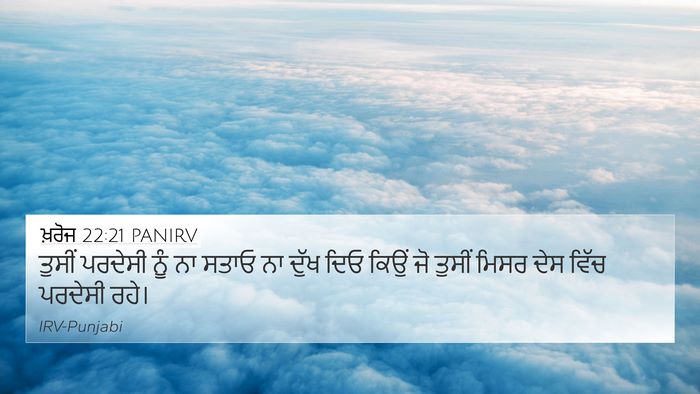 ਖ਼ਰੋਜ 22:21 PANIRV Bible Verse Image