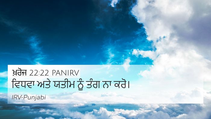 ਖ਼ਰੋਜ 22:22 PANIRV Bible Verse Image