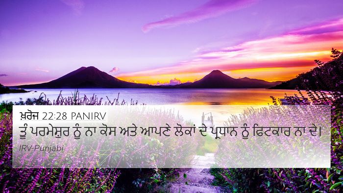 ਖ਼ਰੋਜ 22:28 PANIRV Bible Verse Image
