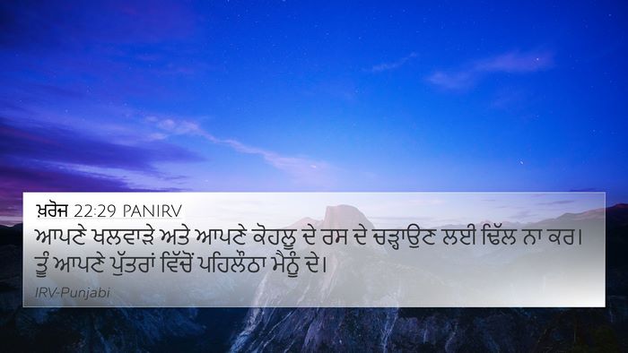 ਖ਼ਰੋਜ 22:29 PANIRV Bible Verse Image