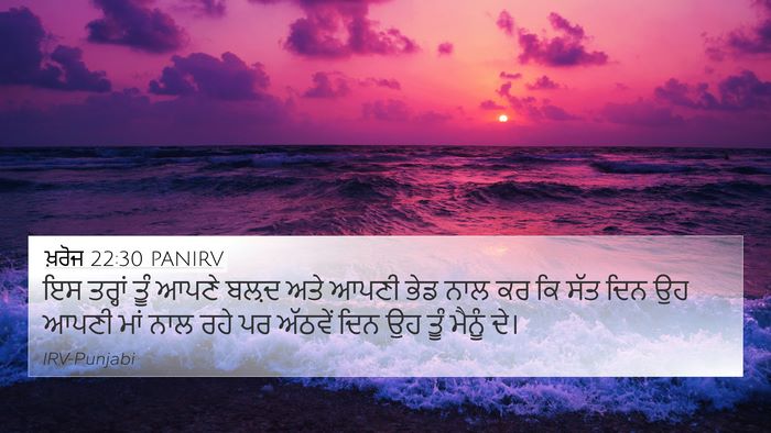 ਖ਼ਰੋਜ 22:30 PANIRV Bible Verse Image