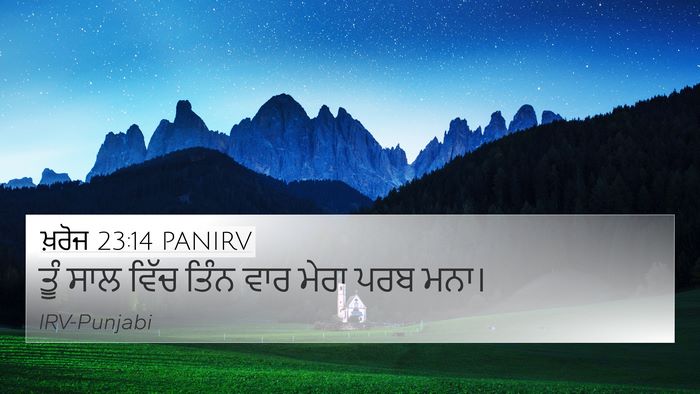 ਖ਼ਰੋਜ 23:14 PANIRV Bible Verse Image