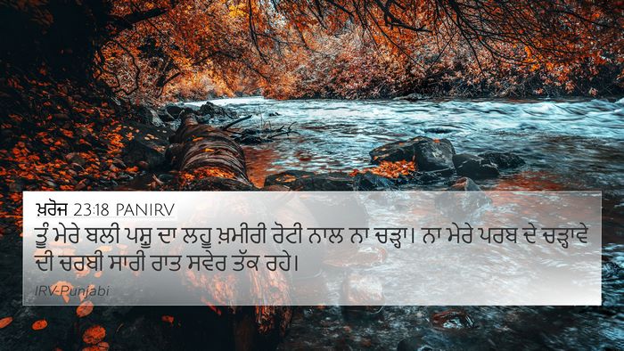 ਖ਼ਰੋਜ 23:18 PANIRV Bible Verse Image