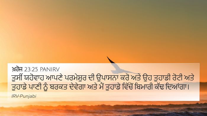 ਖ਼ਰੋਜ 23:25 PANIRV Bible Verse Image