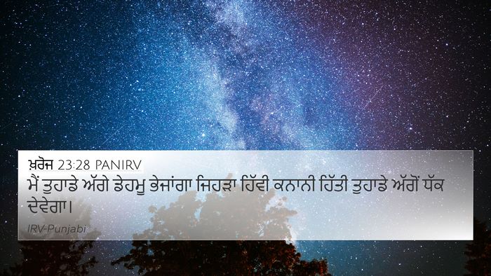 ਖ਼ਰੋਜ 23:28 PANIRV Bible Verse Image