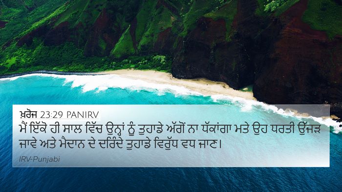 ਖ਼ਰੋਜ 23:29 PANIRV Bible Verse Image