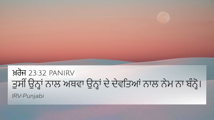 ਖ਼ਰੋਜ 23:32 PANIRV Bible Verse Image