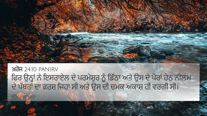 ਖ਼ਰੋਜ 24:10 PANIRV Bible Verse Image