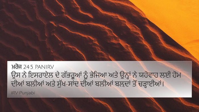 ਖ਼ਰੋਜ 24:5 PANIRV Bible Verse Image