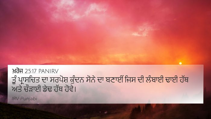 ਖ਼ਰੋਜ 25:17 PANIRV Bible Verse Image