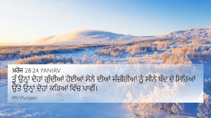 ਖ਼ਰੋਜ 28:24 PANIRV Bible Verse Image