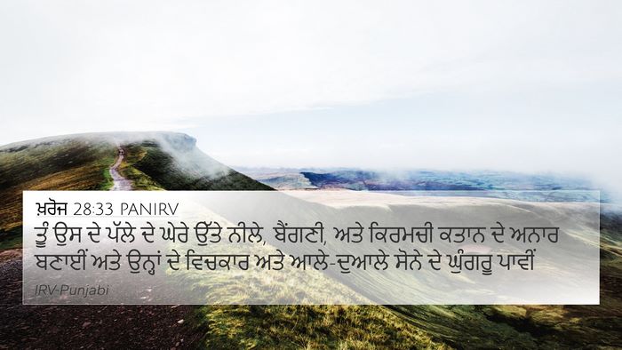 ਖ਼ਰੋਜ 28:33 PANIRV Bible Verse Image
