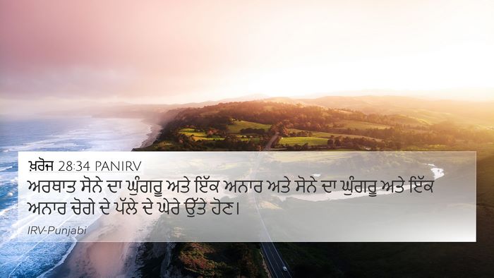 ਖ਼ਰੋਜ 28:34 PANIRV Bible Verse Image