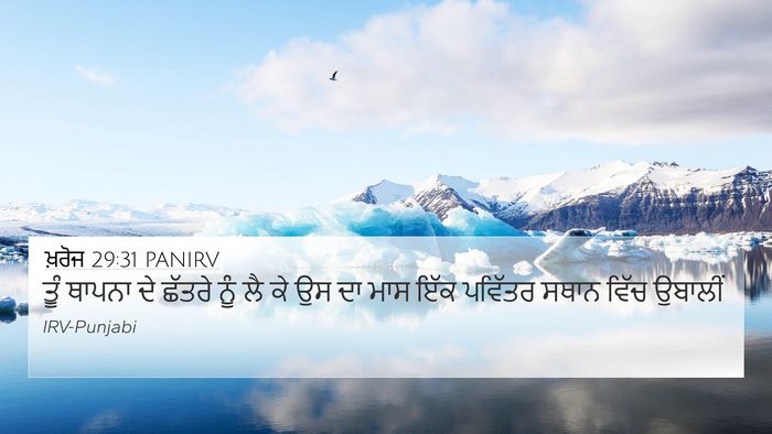ਖ਼ਰੋਜ 29:31 PANIRV Bible Verse Image