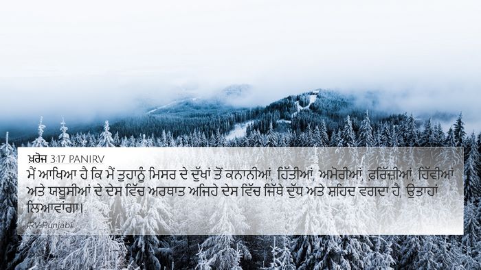 ਖ਼ਰੋਜ 3:17 PANIRV Bible Verse Image