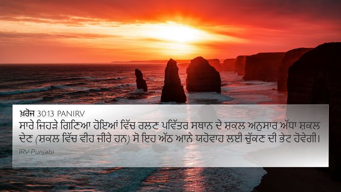 ਖ਼ਰੋਜ 30:13 PANIRV Bible Verse Image
