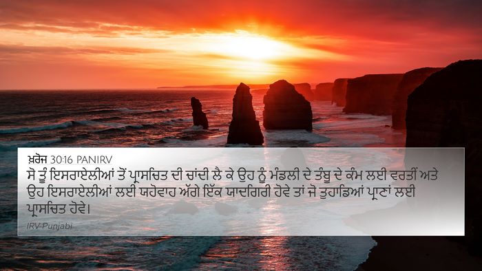 ਖ਼ਰੋਜ 30:16 PANIRV Bible Verse Image