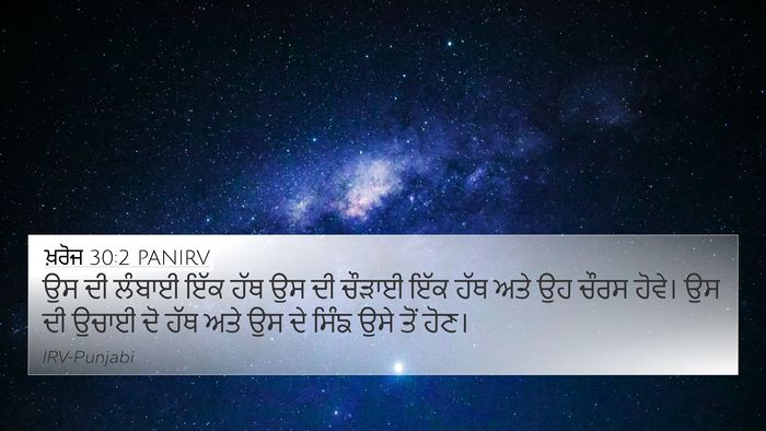 ਖ਼ਰੋਜ 30:2 PANIRV Bible Verse Image