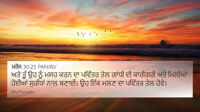ਖ਼ਰੋਜ 30:25 PANIRV Bible Verse Image