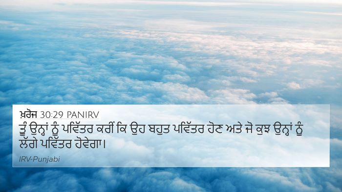 ਖ਼ਰੋਜ 30:29 PANIRV Bible Verse Image