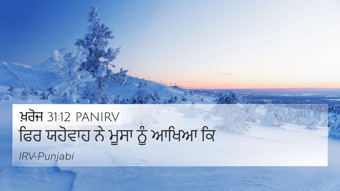 ਖ਼ਰੋਜ 31:12 PANIRV Bible Verse Image