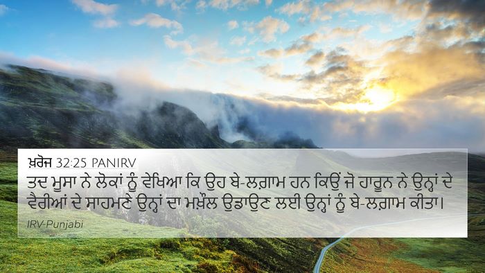 ਖ਼ਰੋਜ 32:25 PANIRV Bible Verse Image