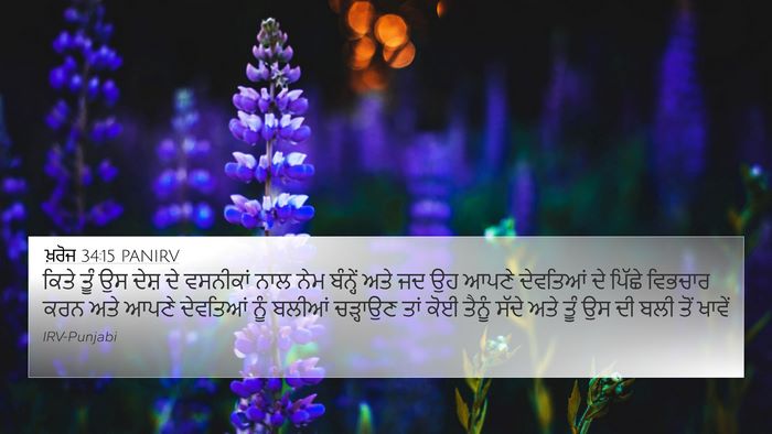 ਖ਼ਰੋਜ 34:15 PANIRV Bible Verse Image