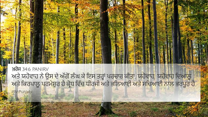 ਖ਼ਰੋਜ 34:6 PANIRV Bible Verse Image