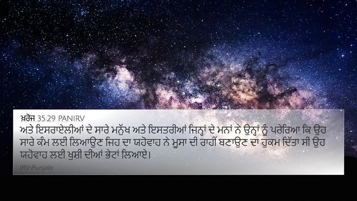 ਖ਼ਰੋਜ 35:29 PANIRV Bible Verse Image