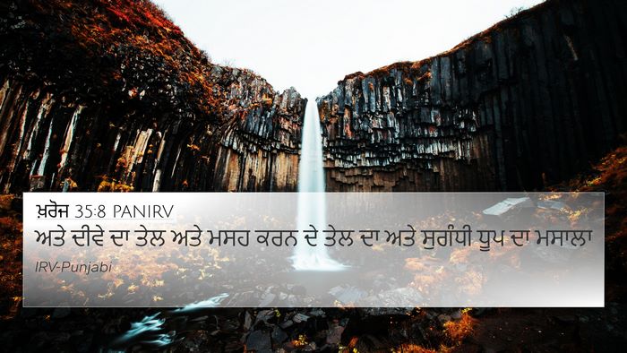 ਖ਼ਰੋਜ 35:8 PANIRV Bible Verse Image