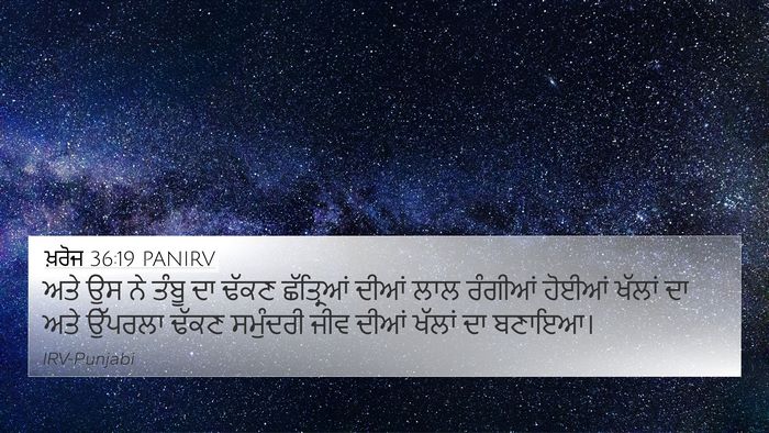 ਖ਼ਰੋਜ 36:19 PANIRV Bible Verse Image
