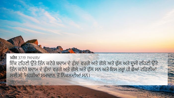ਖ਼ਰੋਜ 37:19 PANIRV 4K Wallpaper - ਇੱਕ ਟਹਿਣੀ ਉੱਤੇ - 4K Wallpaper Bible Verse