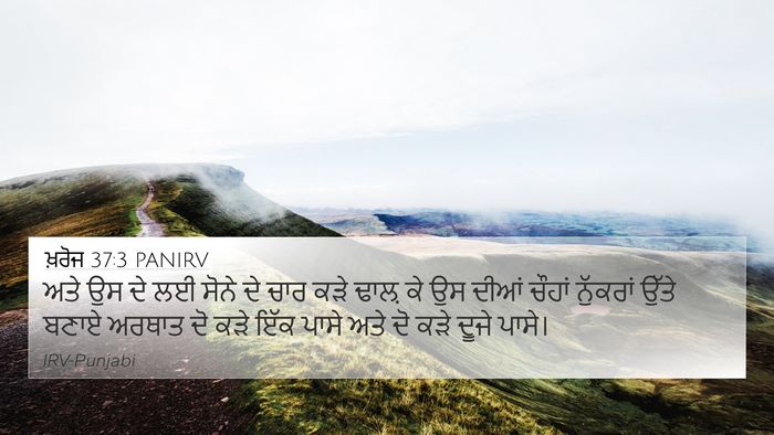 ਖ਼ਰੋਜ 37:3 PANIRV Bible Verse Image