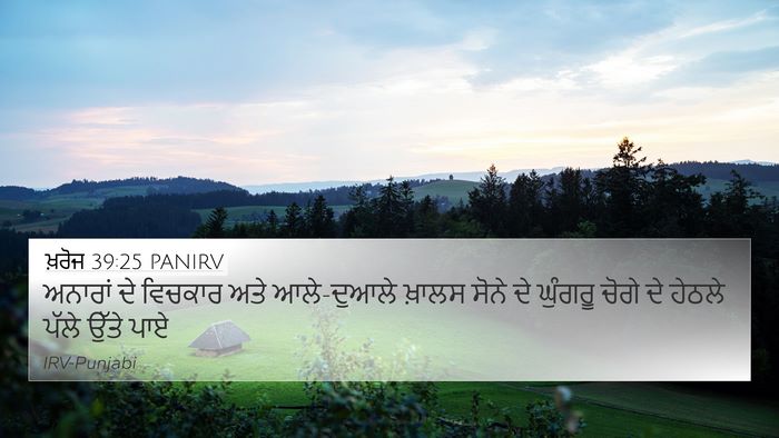 ਖ਼ਰੋਜ 39:25 PANIRV 4K Wallpaper - ਅਨਾਰਾਂ ਦੇ ਵਿਚਕਾਰ - 4K Wallpaper Bible Verse