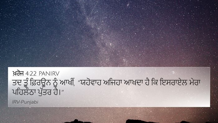 ਖ਼ਰੋਜ 4:22 PANIRV Bible Verse Image