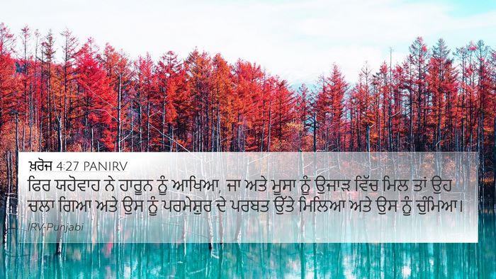 ਖ਼ਰੋਜ 4:27 PANIRV Bible Verse Image