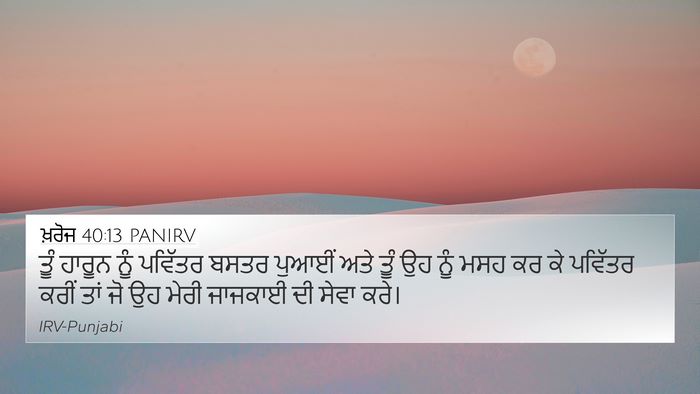 ਖ਼ਰੋਜ 40:13 PANIRV Bible Verse Image