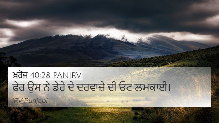 ਖ਼ਰੋਜ 40:28 PANIRV 4K Wallpaper - ਫੇਰ ਉਸ ਨੇ ਡੇਰੇ ਦੇ - 4K Wallpaper Bible Verse