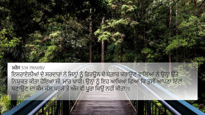ਖ਼ਰੋਜ 5:14 PANIRV Bible Verse Image