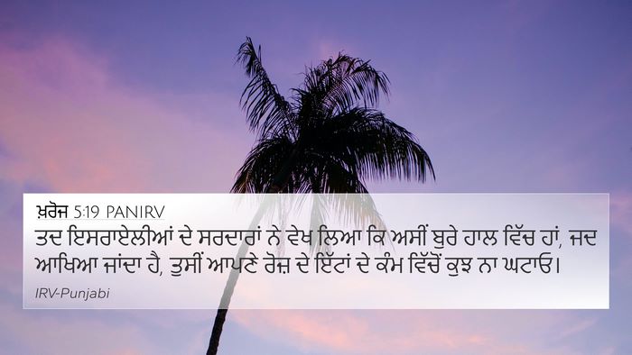 ਖ਼ਰੋਜ 5:19 PANIRV Bible Verse Image