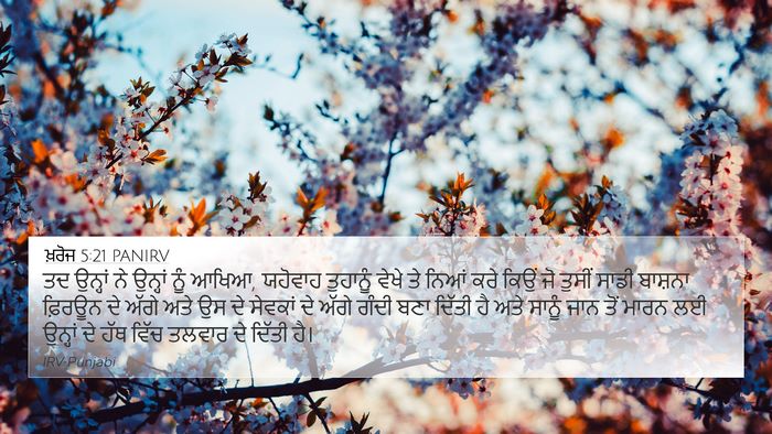 ਖ਼ਰੋਜ 5:21 PANIRV Bible Verse Image