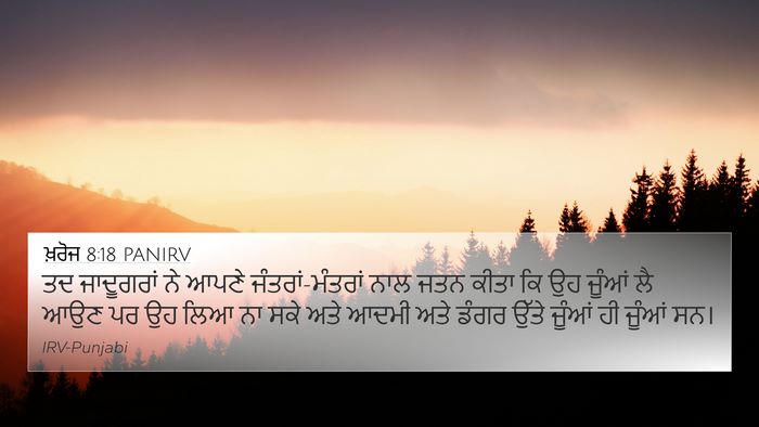 ਖ਼ਰੋਜ 8:18 PANIRV Bible Verse Image